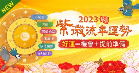 2023紫微流年運勢免費